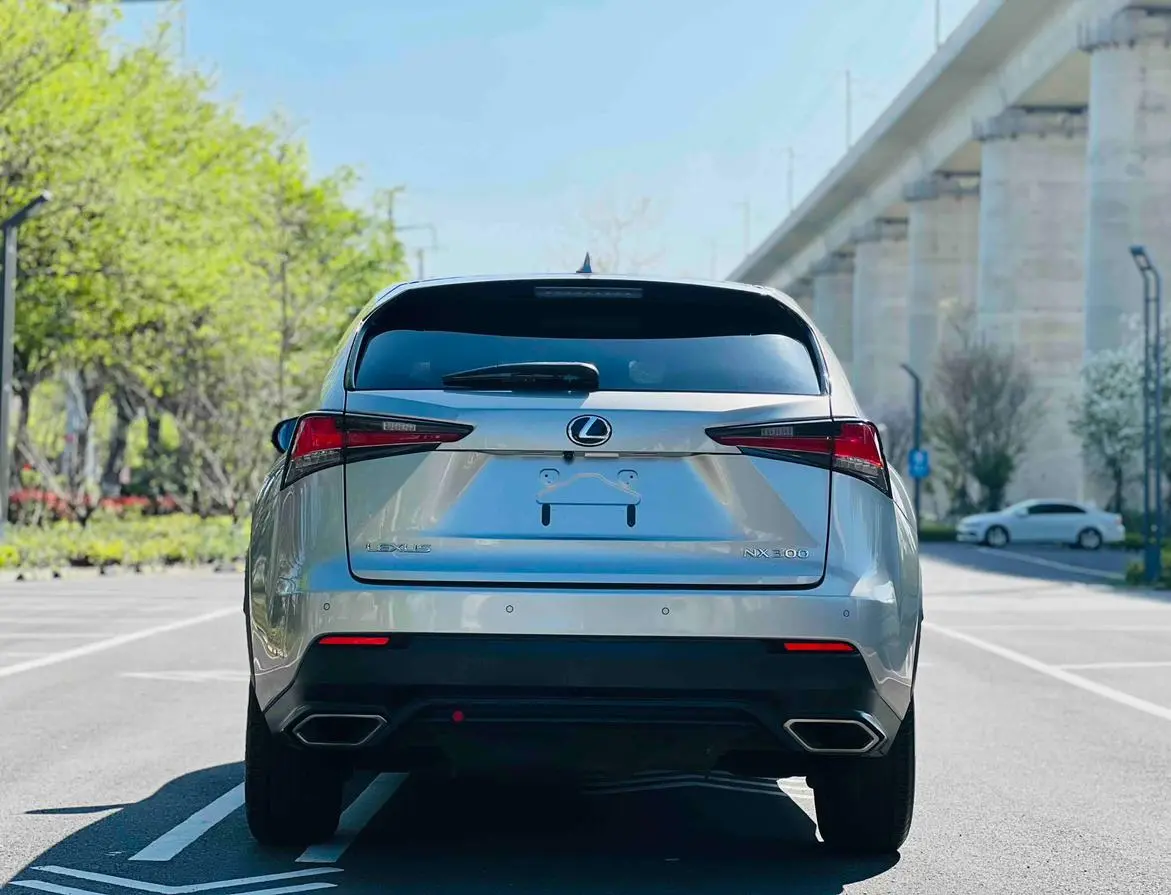 Lexus NX 2018 300 FWD China V