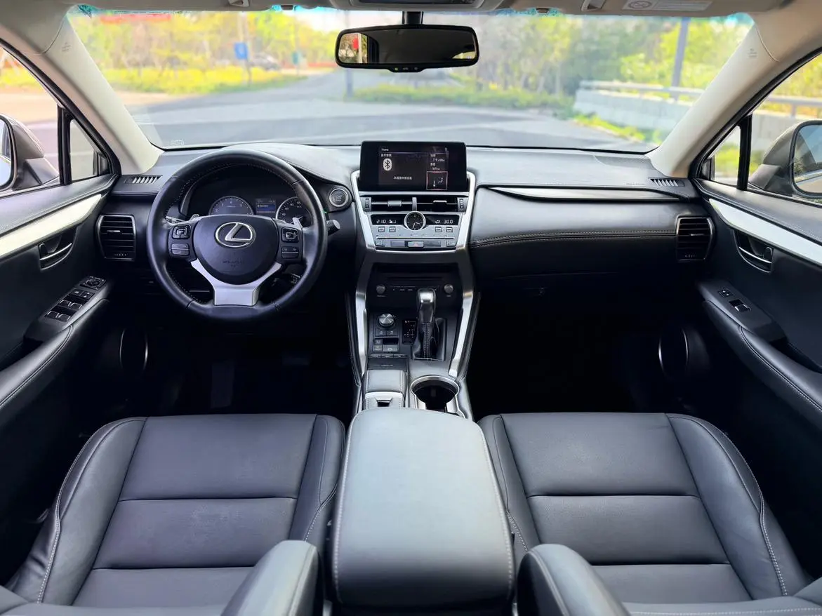 Lexus NX 2018 300 FWD China V