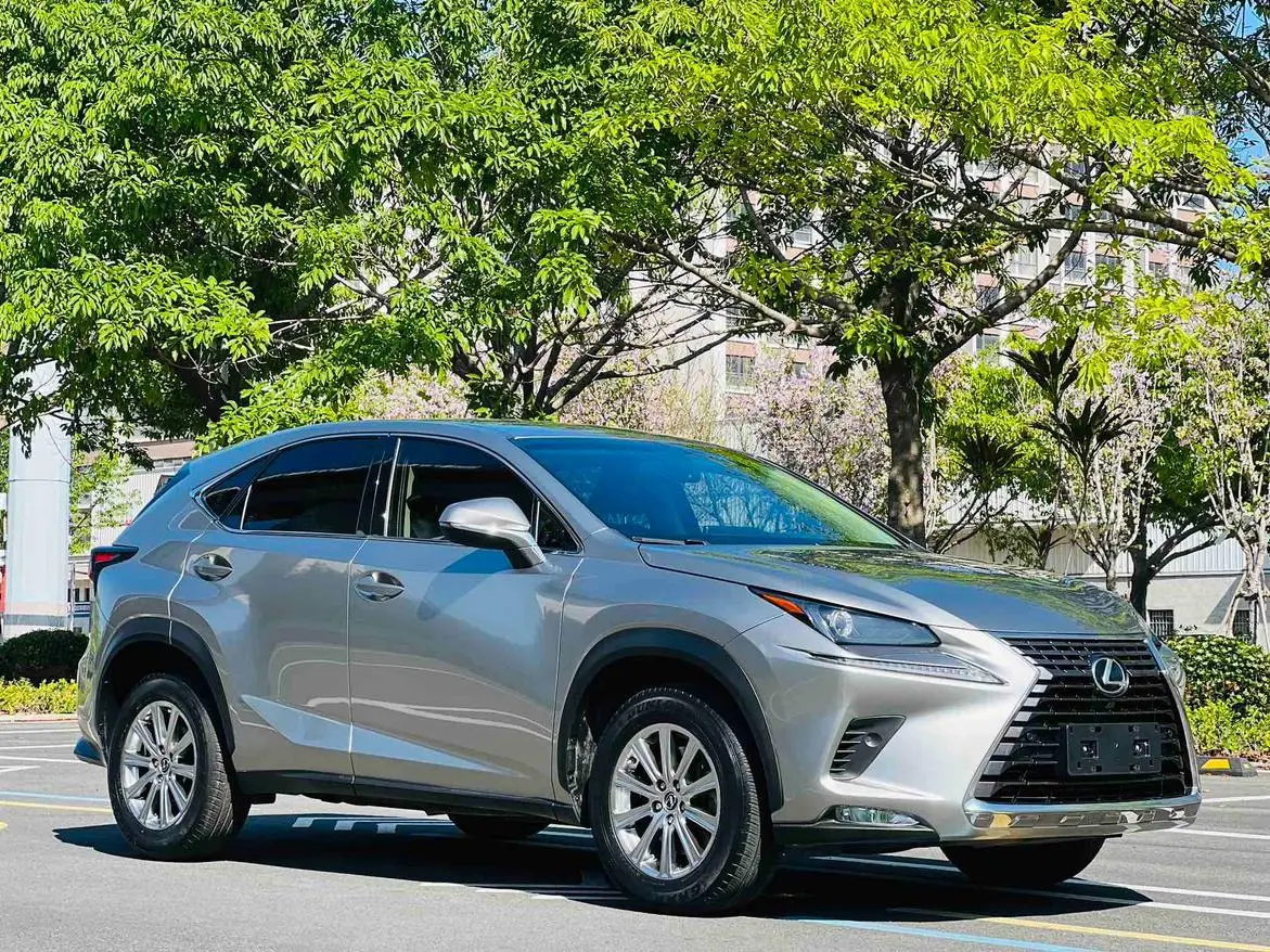 Lexus NX 2018 300 FWD China V