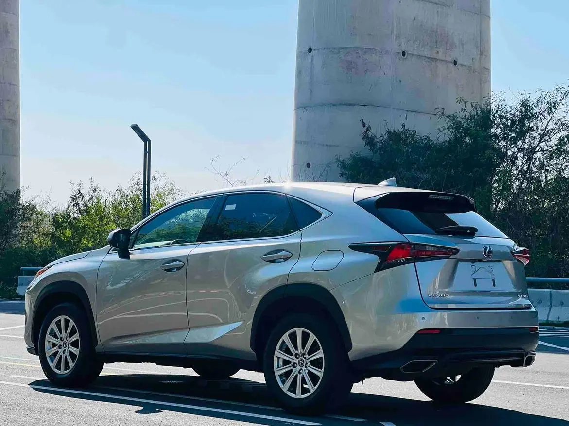 Lexus NX 2018 300 FWD China V