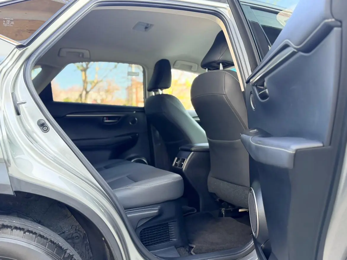 Lexus NX 2018 300 FWD China V