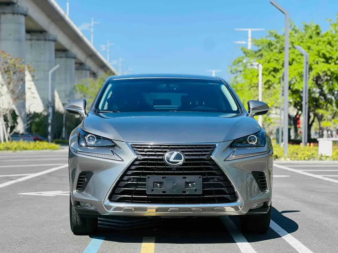 Lexus NX 2018 300 FWD China V