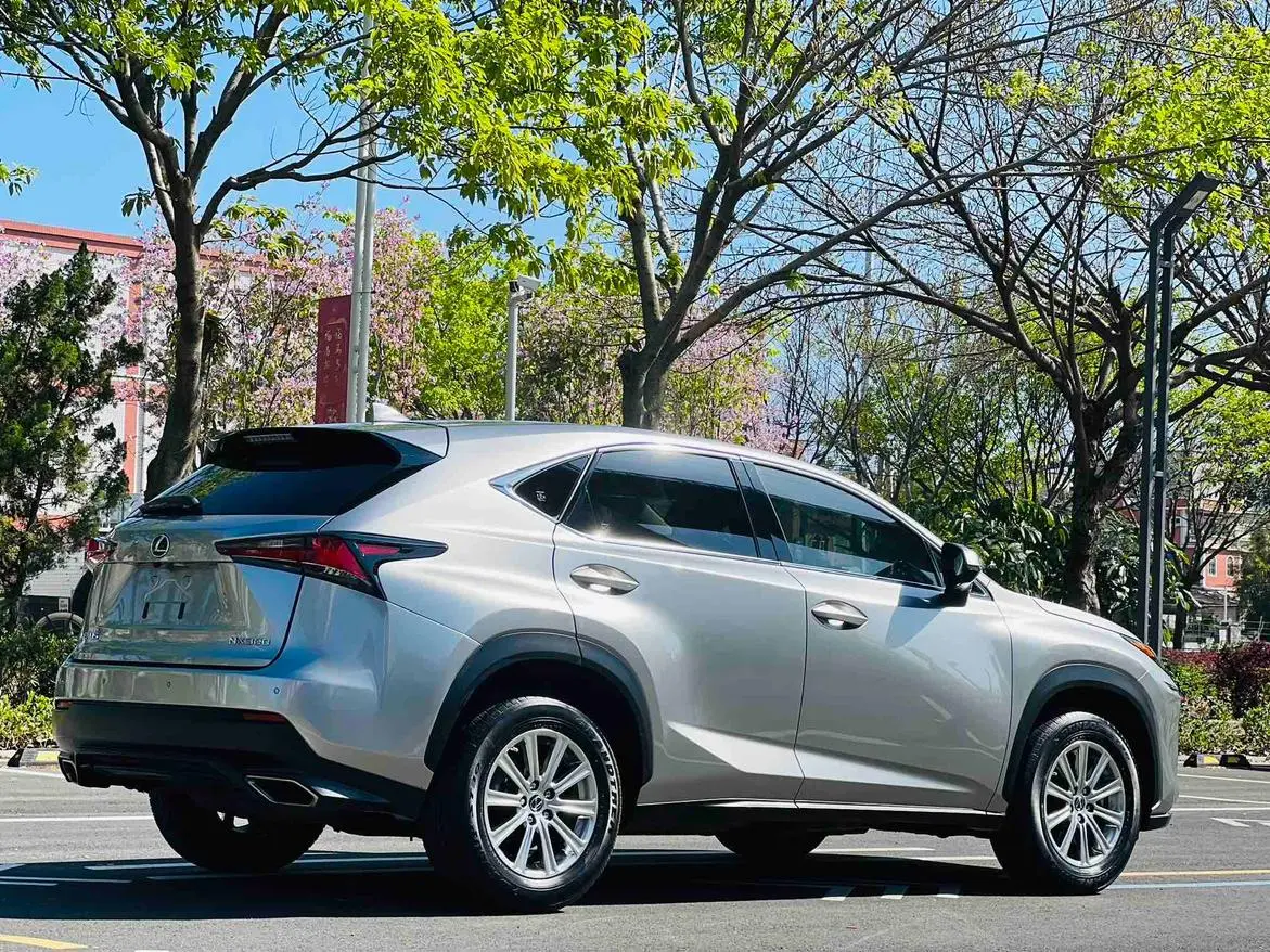 Lexus NX 2018 300 FWD China V