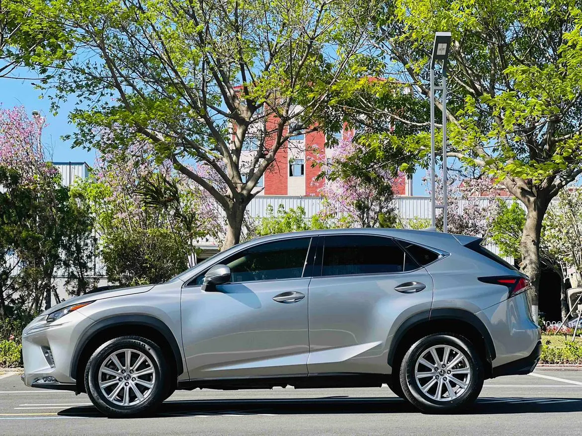 Lexus NX 2018 300 FWD China V