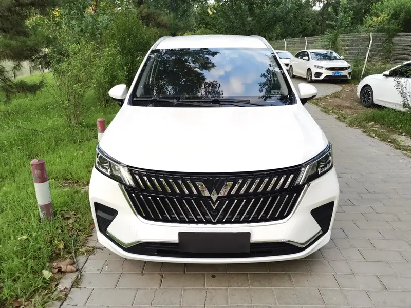 Wuling Jiachen 2022 1.5T Manual Comfort and Vitality Type