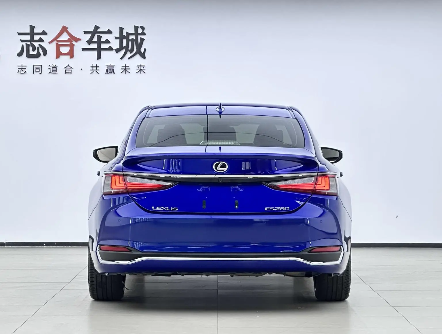 Lexus ES 2018 260 F SPORT China V