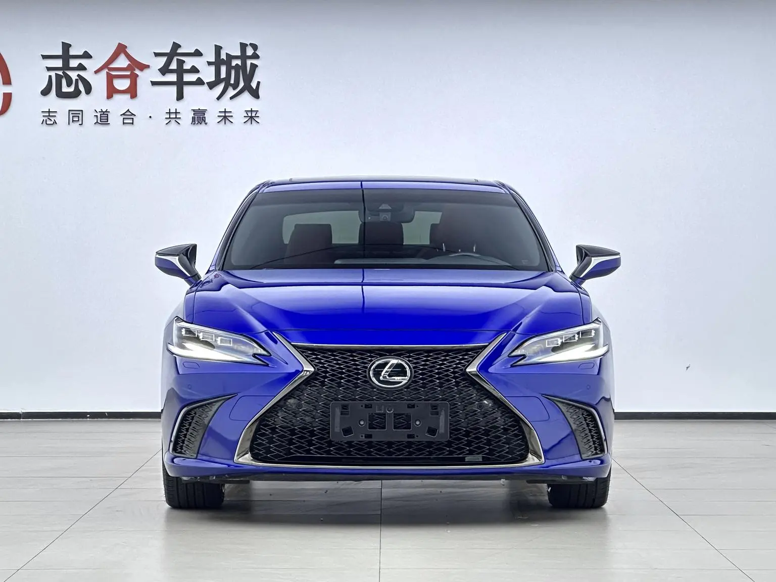 Lexus ES 2018 260 F SPORT China V