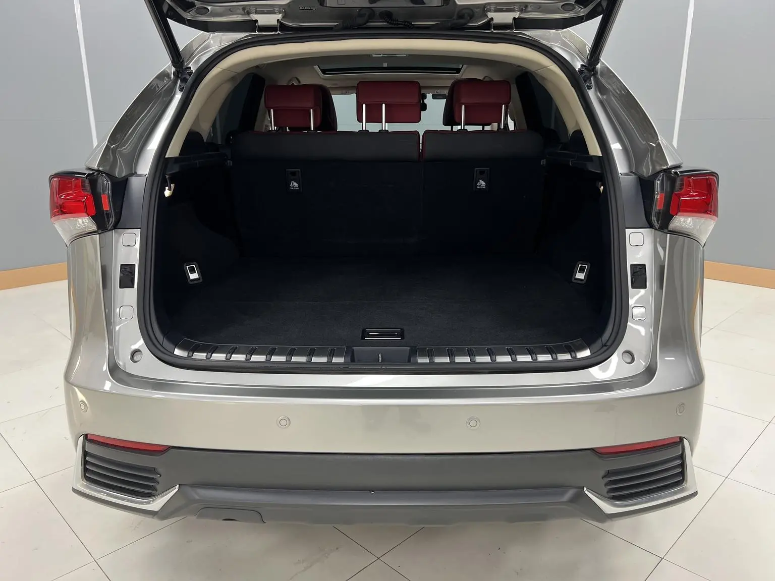 Lexus NX 2020 200 China VI