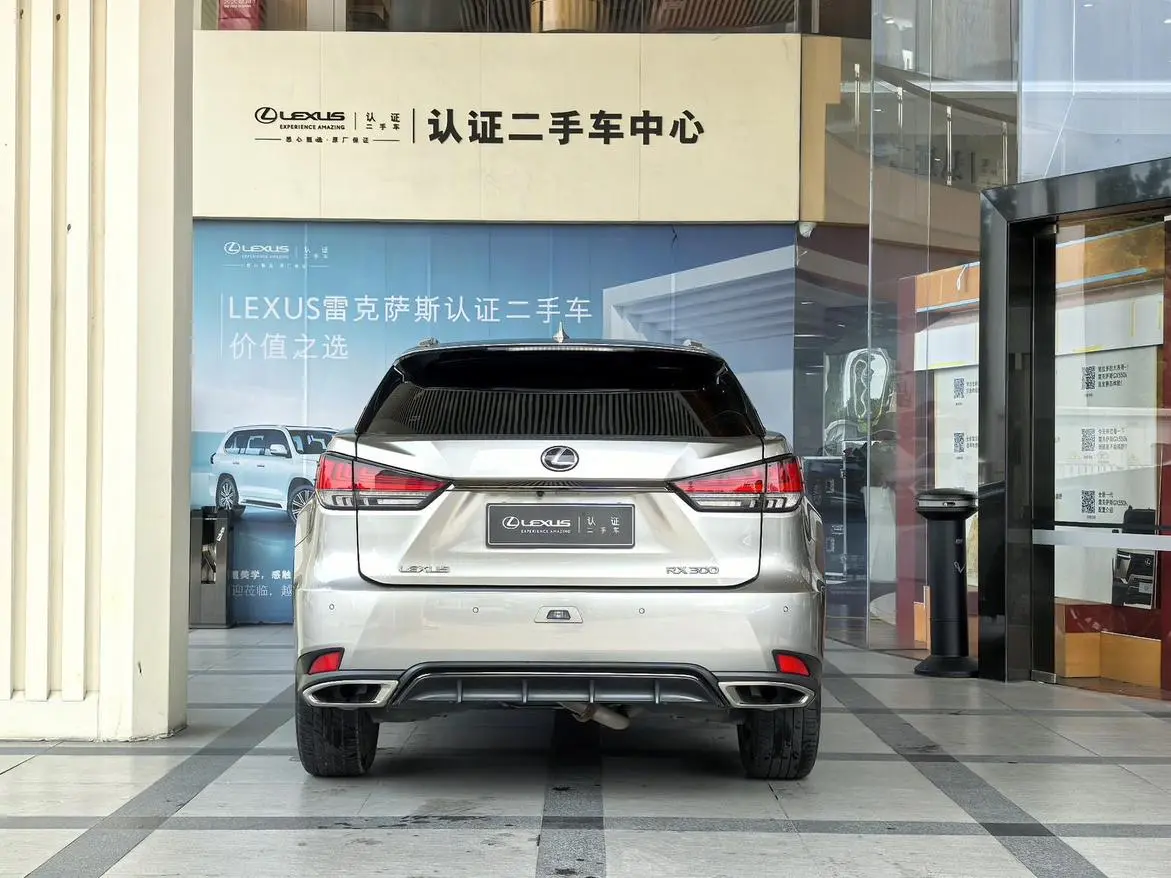 Lexus RX 2020 300 4WD F SPORT China VI