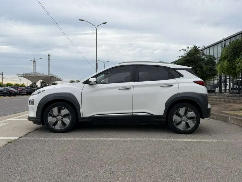 Ensign Pure Electric 2020 GLS Smart Edition