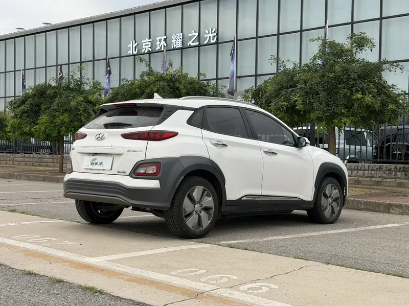 Ensign Pure Electric 2020 GLS Smart Edition