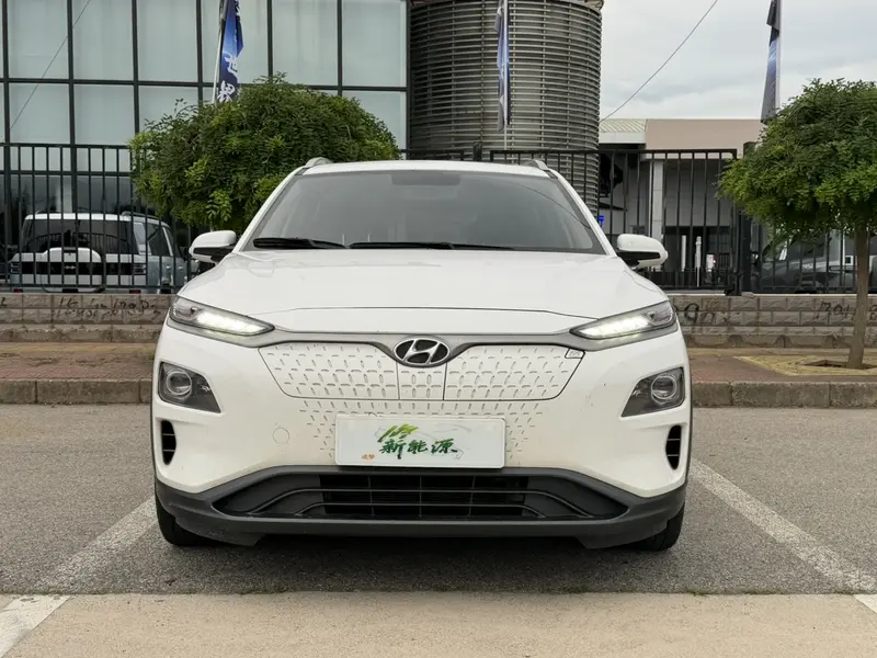 Ensign Pure Electric 2020 GLS Smart Edition