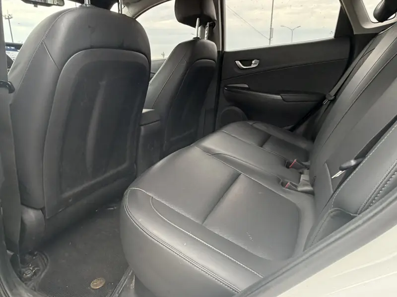 Ensign Pure Electric 2020 GLS Smart Edition