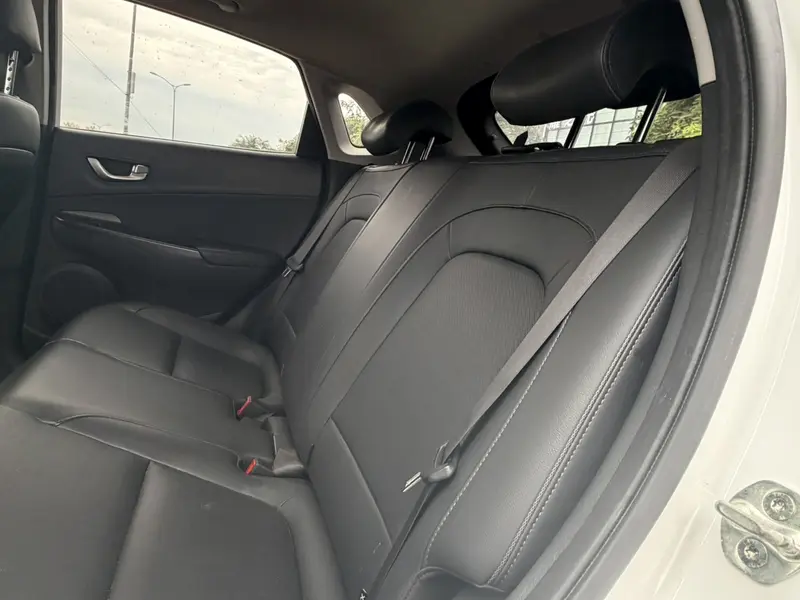 Ensign Pure Electric 2020 GLS Smart Edition