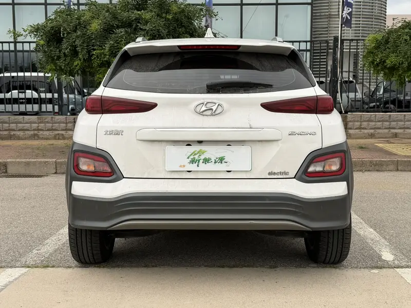 Ensign Pure Electric 2020 GLS Smart Edition