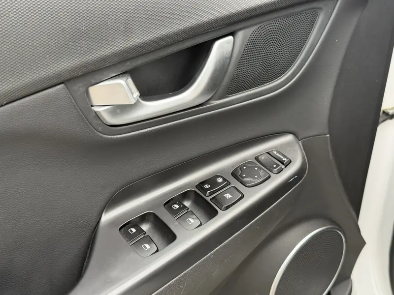 Ensign Pure Electric 2020 GLS Smart Edition