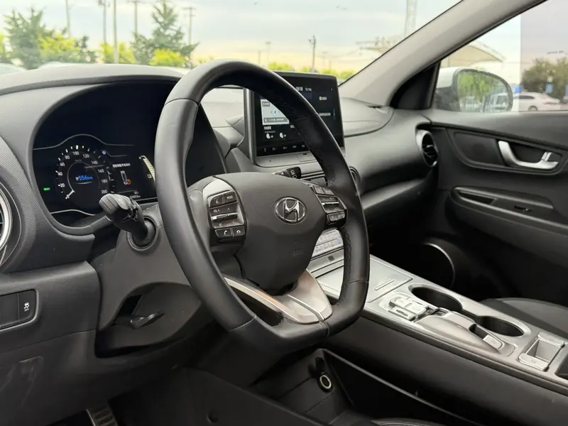 Ensign Pure Electric 2020 GLS Smart Edition