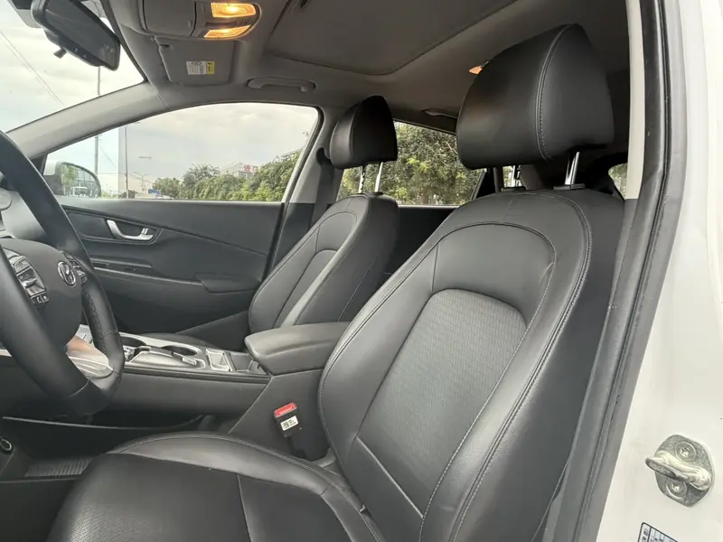 Ensign Pure Electric 2020 GLS Smart Edition