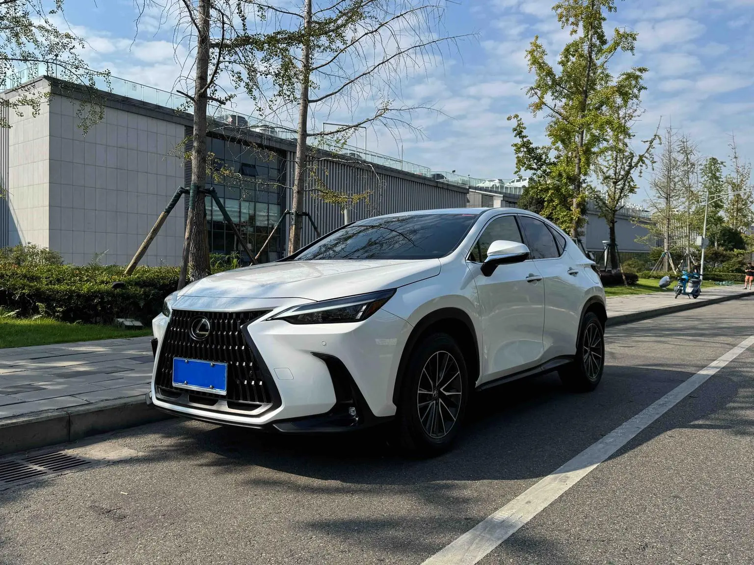 Lexus NX 2023 260 FWD