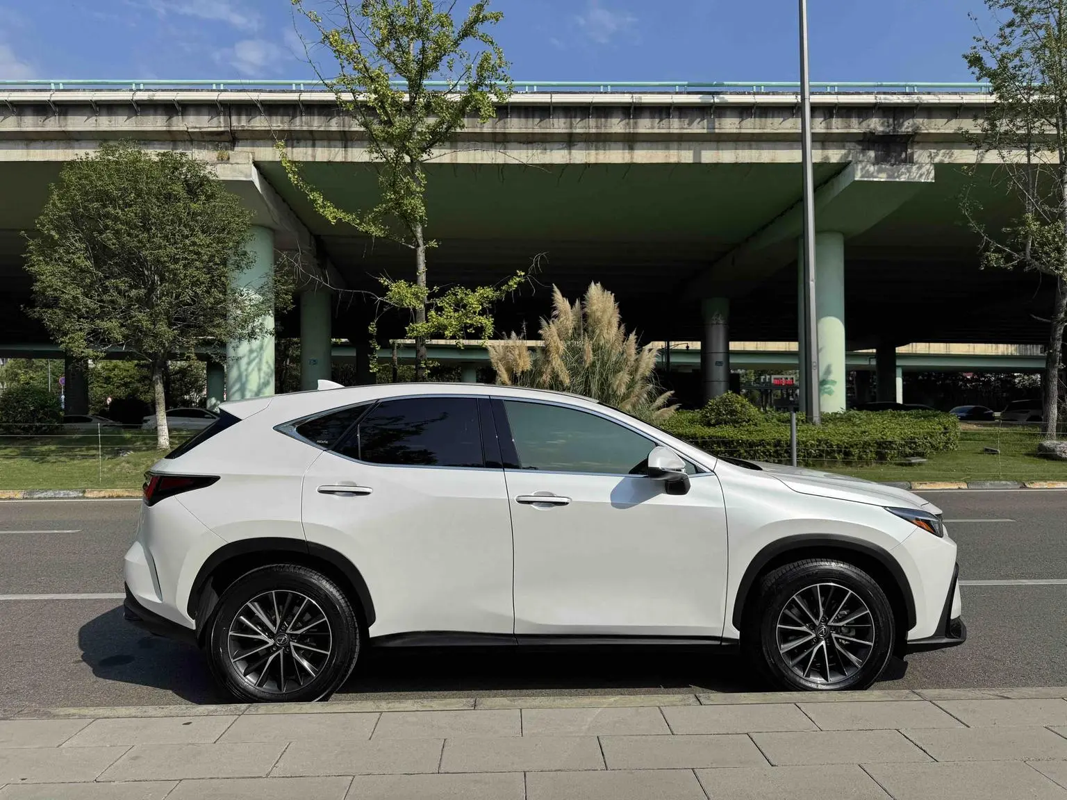 Lexus NX 2023 260 FWD