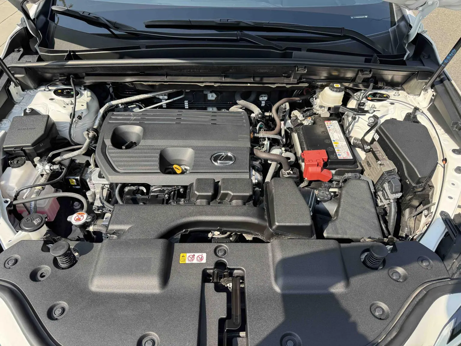 Lexus NX 2023 260 FWD