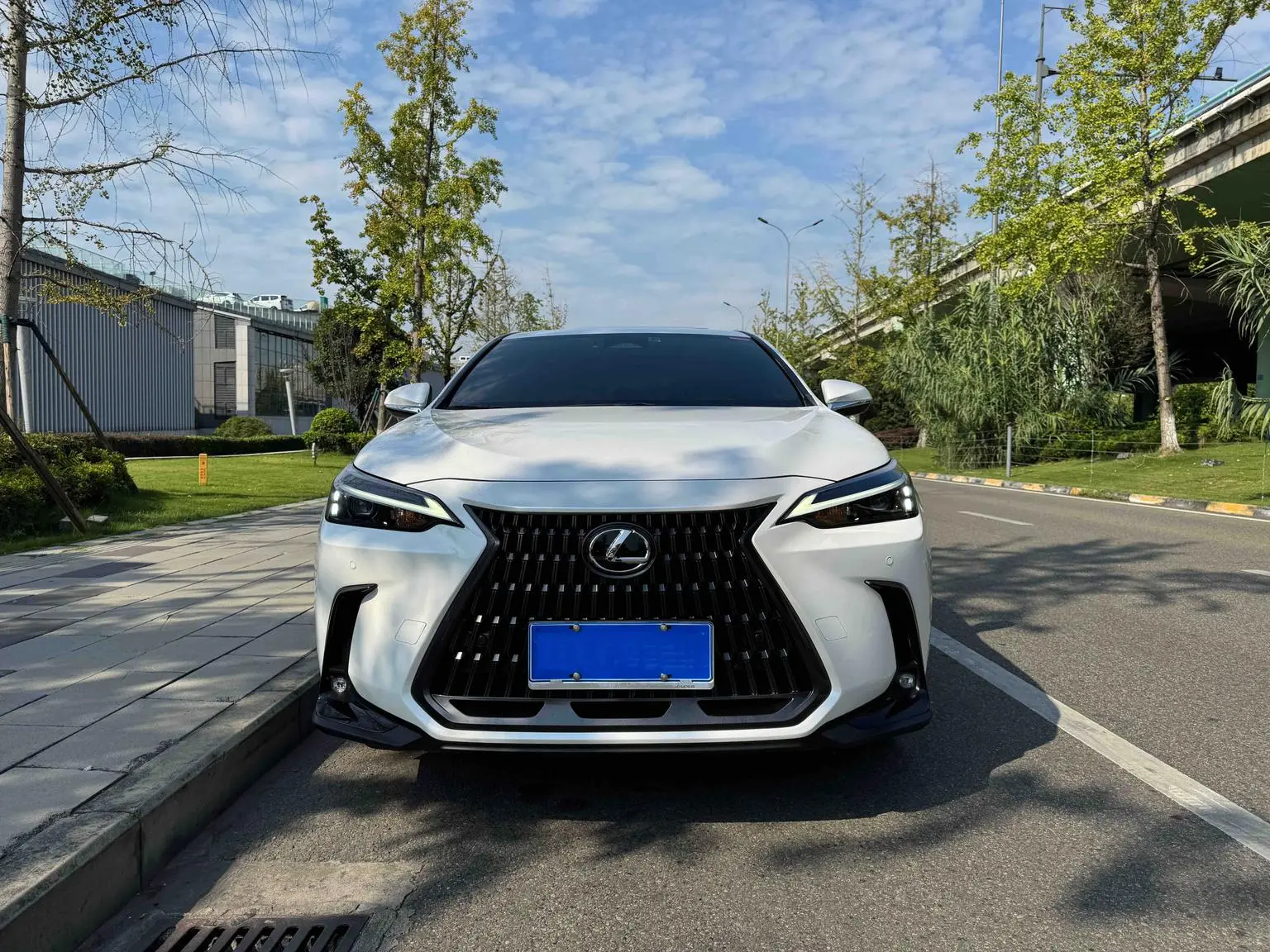 Lexus NX 2023 260 FWD