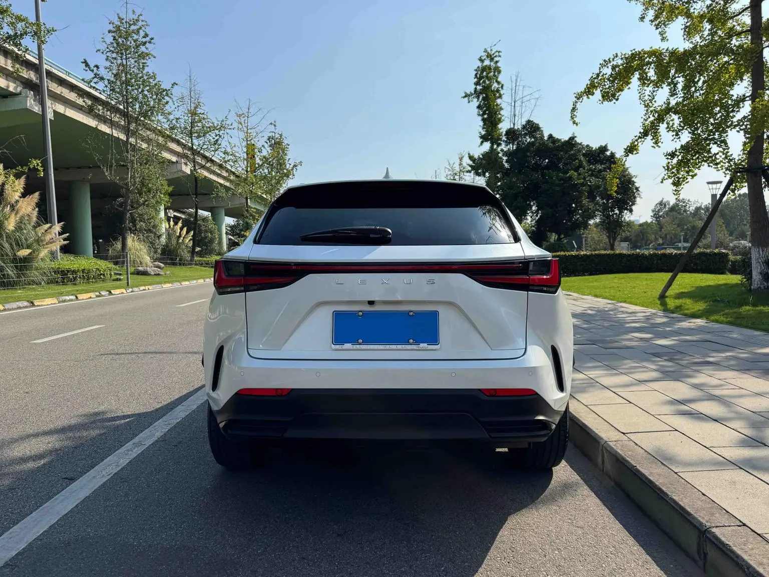 Lexus NX 2023 260 FWD