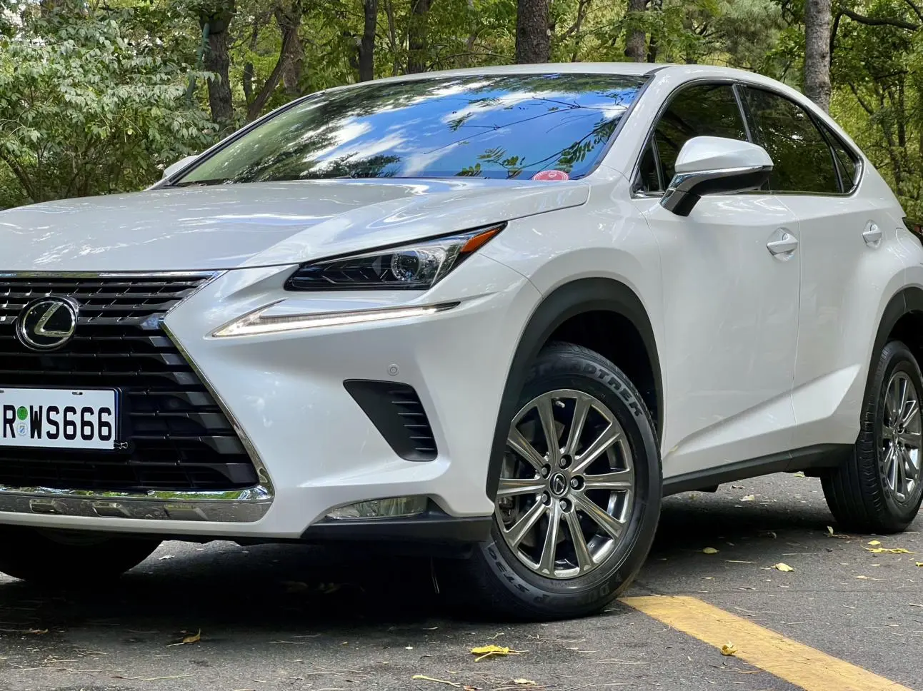 Lexus NX 2020 200 FWD China VI