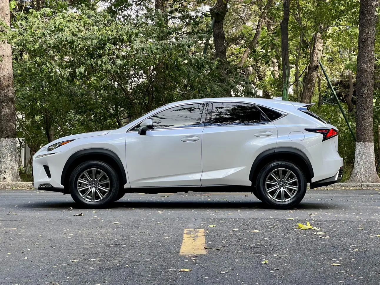 Lexus NX 2020 200 FWD China VI