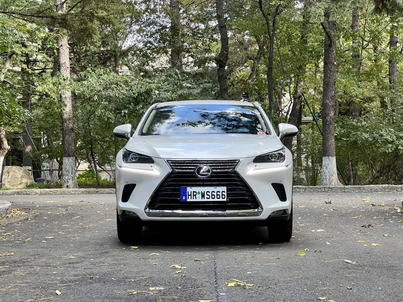 Lexus NX 2020 200 FWD China VI