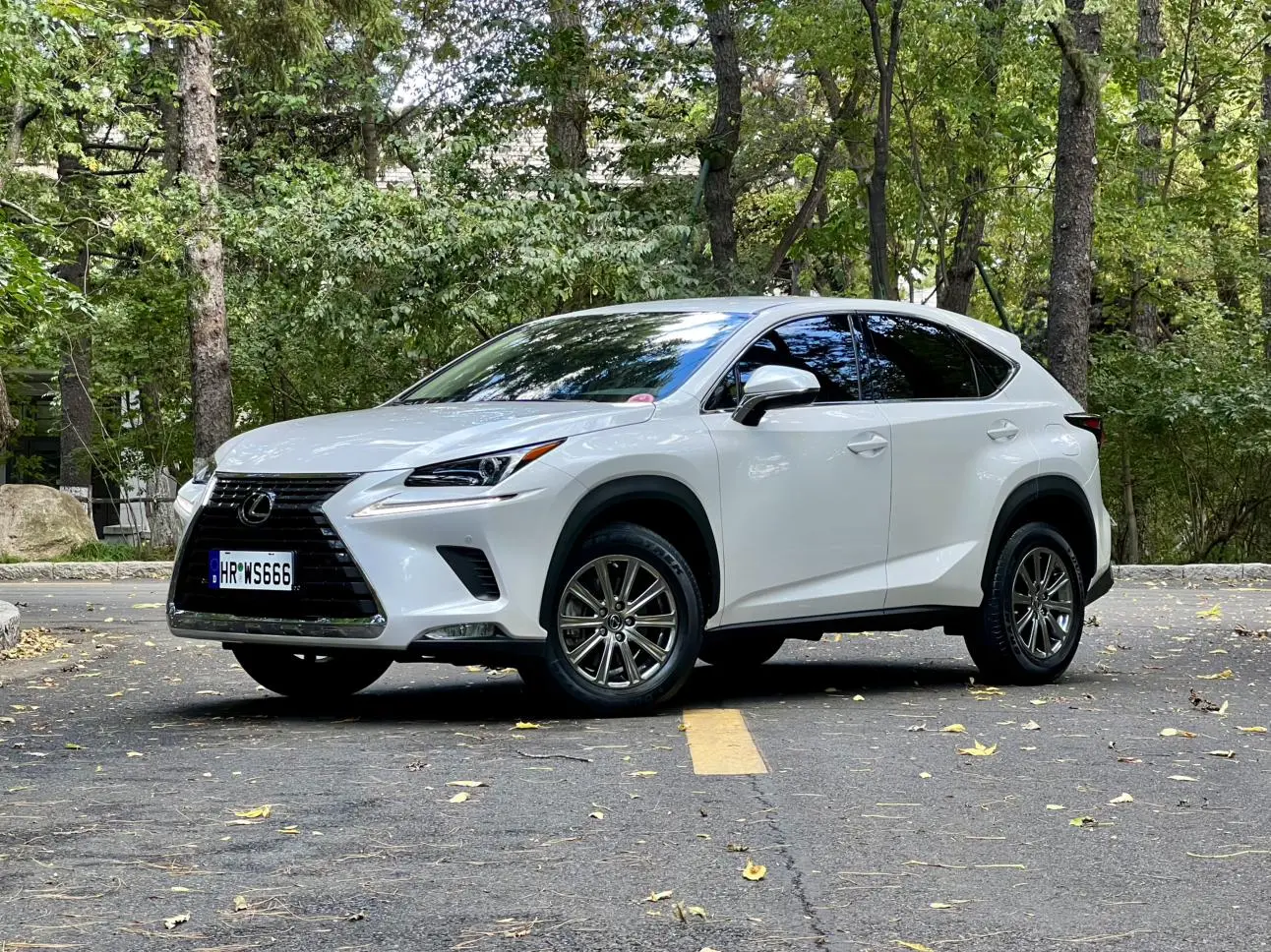 Lexus NX 2020 200 FWD China VI