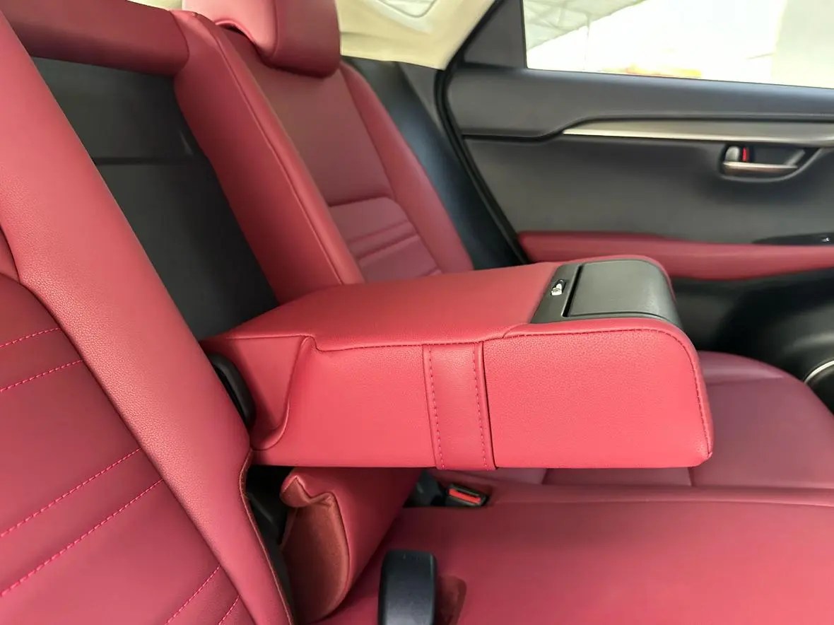 Lexus NX 2020 200 China VI