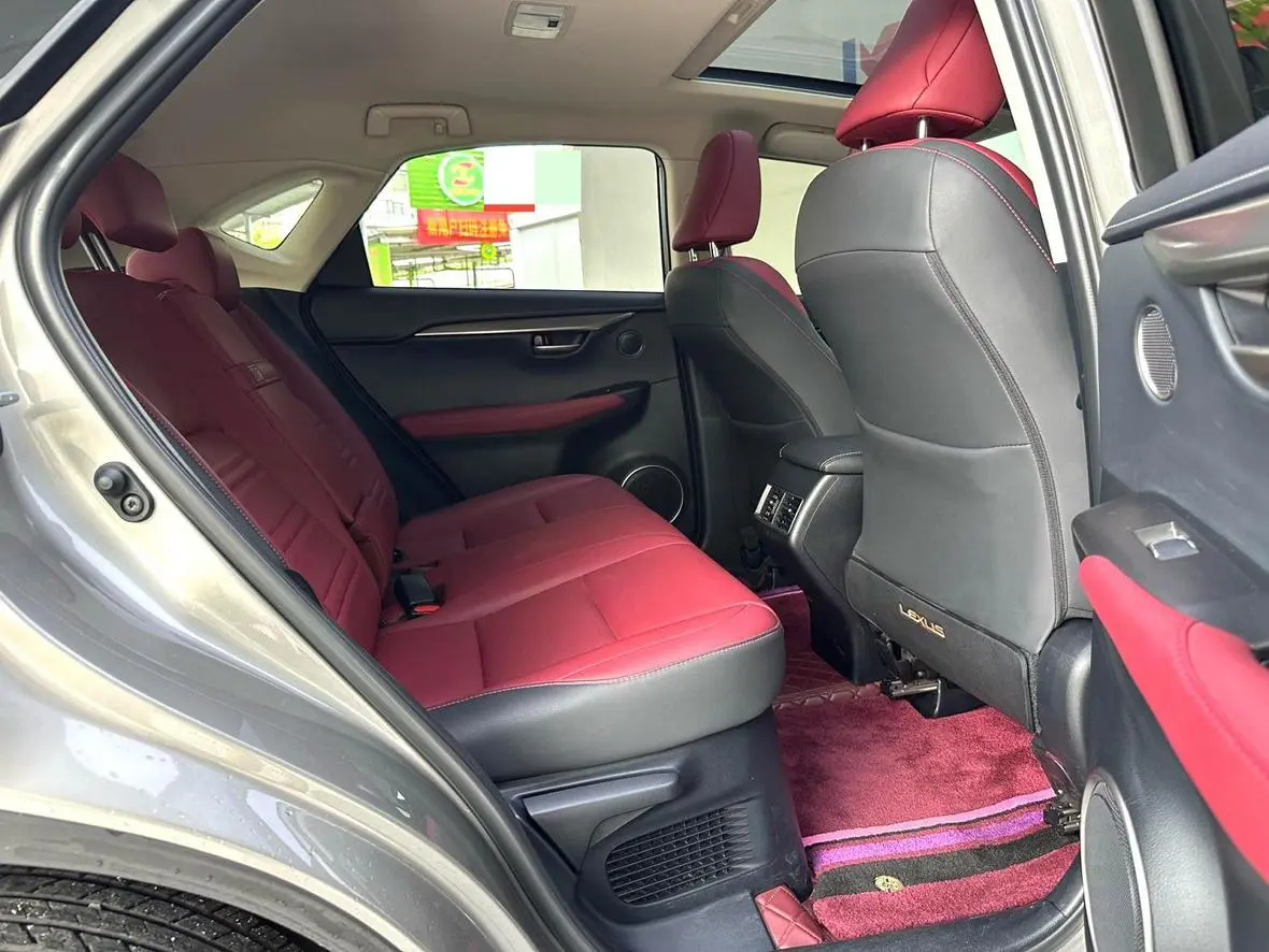 Lexus NX 2020 200 China VI