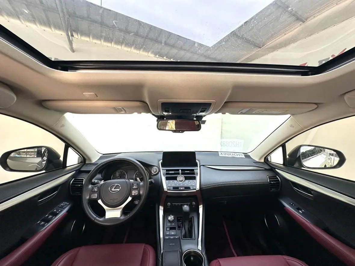 Lexus NX 2020 200 China VI