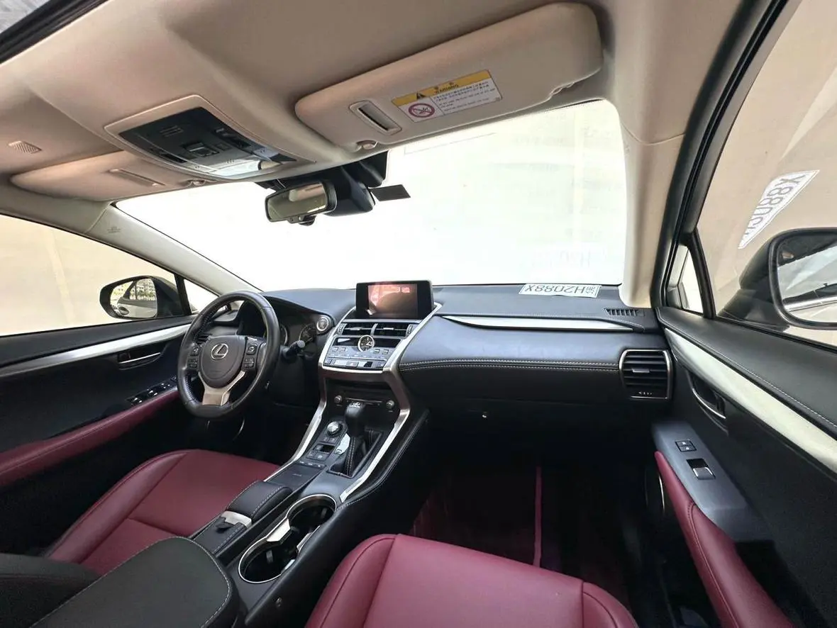 Lexus NX 2020 200 China VI