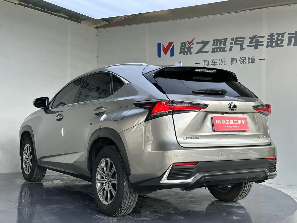 Lexus NX 2020 200 China VI