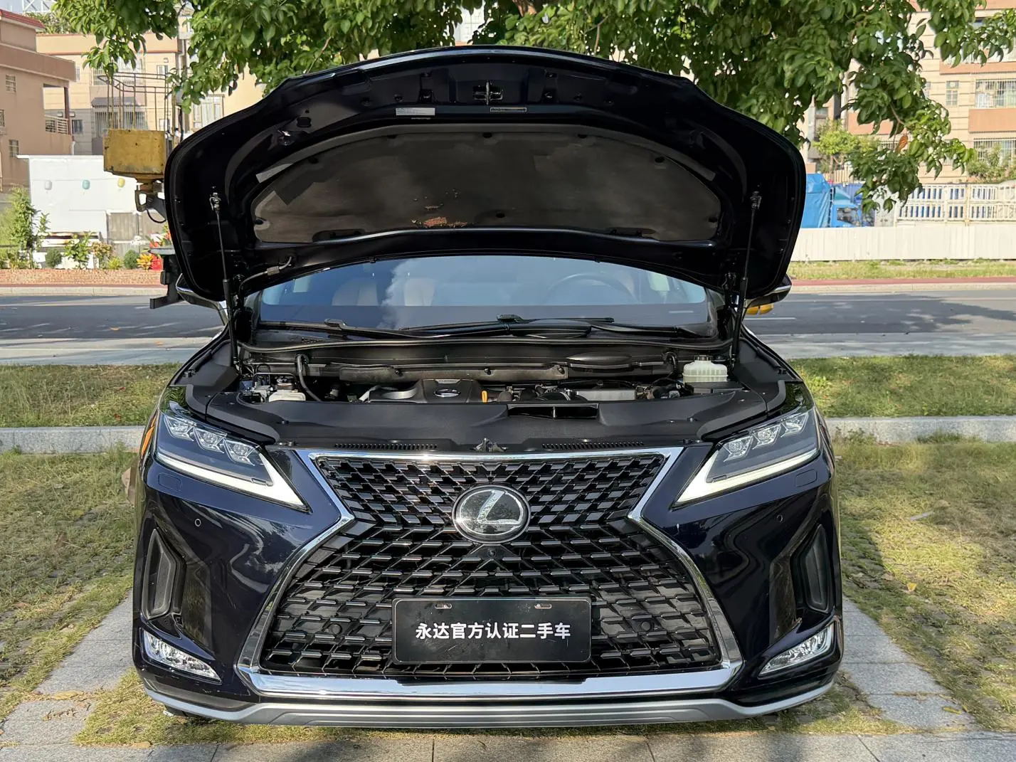 Lexus RX 2020 Facelift 300 4WD Elegant