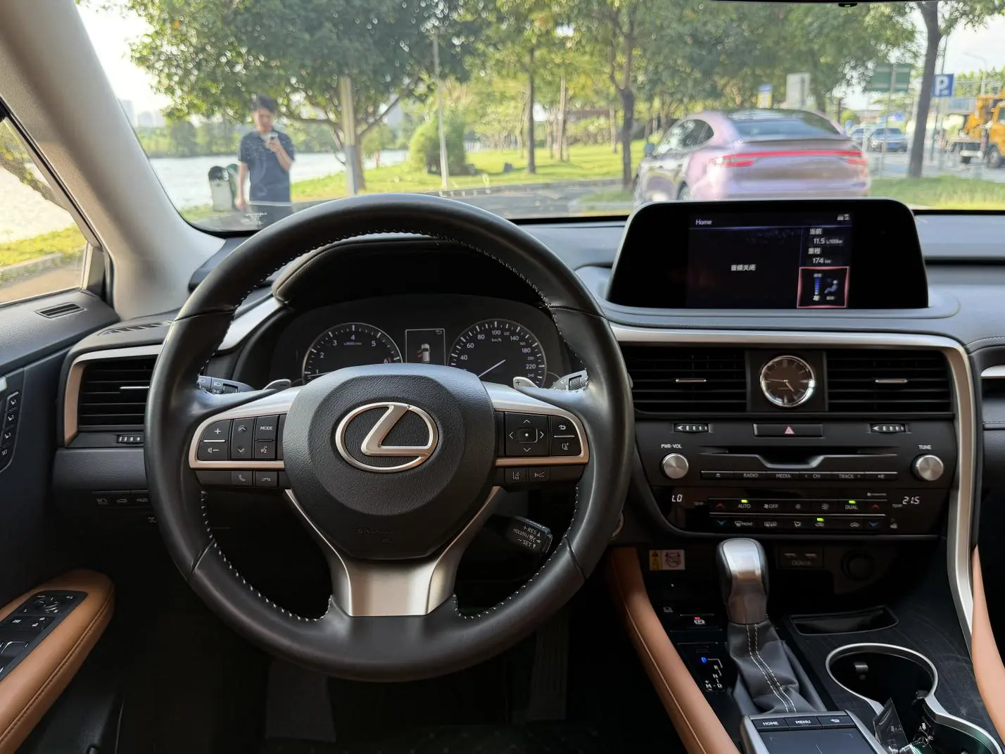 Lexus RX 2020 Facelift 300 4WD Elegant