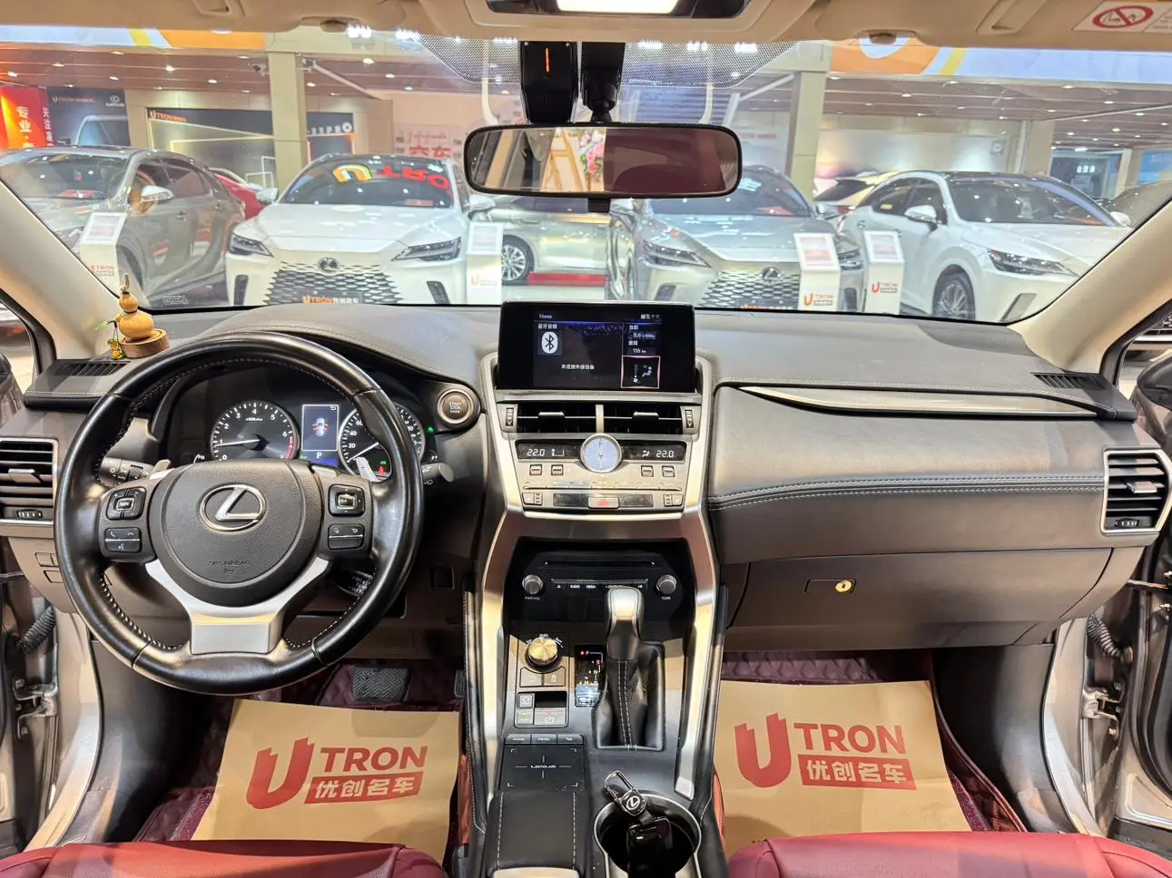 Lexus NX 2020 200 FWD China VI