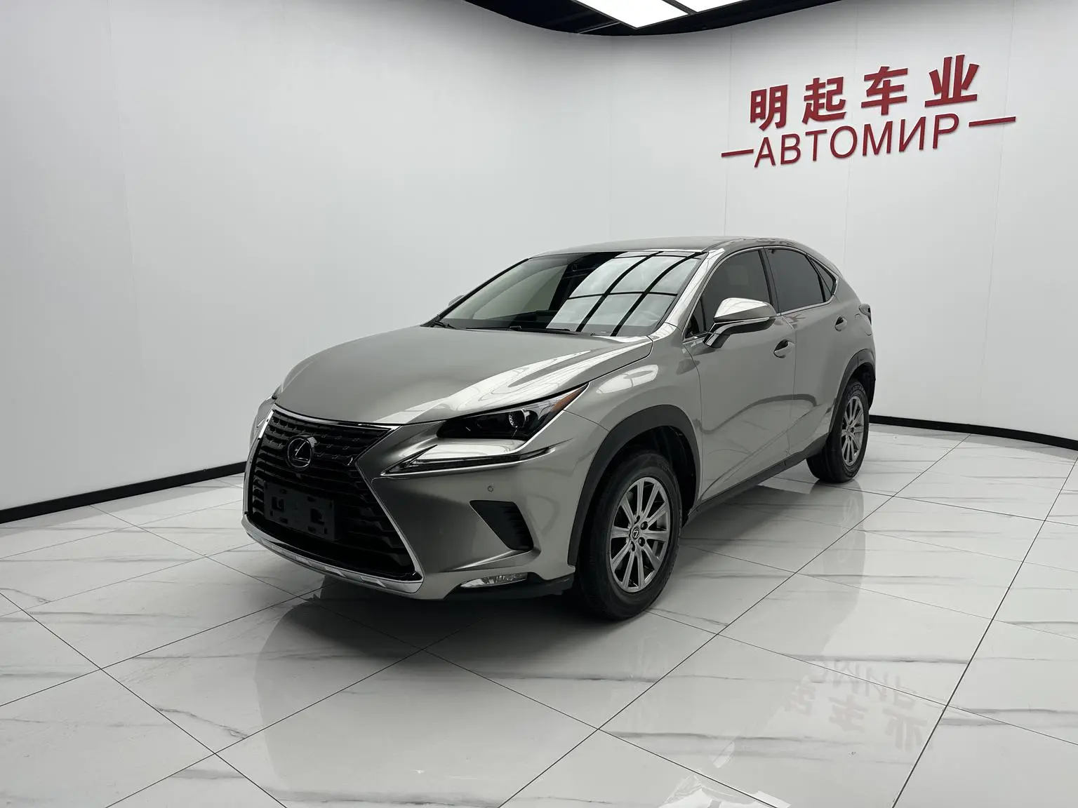 Lexus NX 2020 200 FWD China V