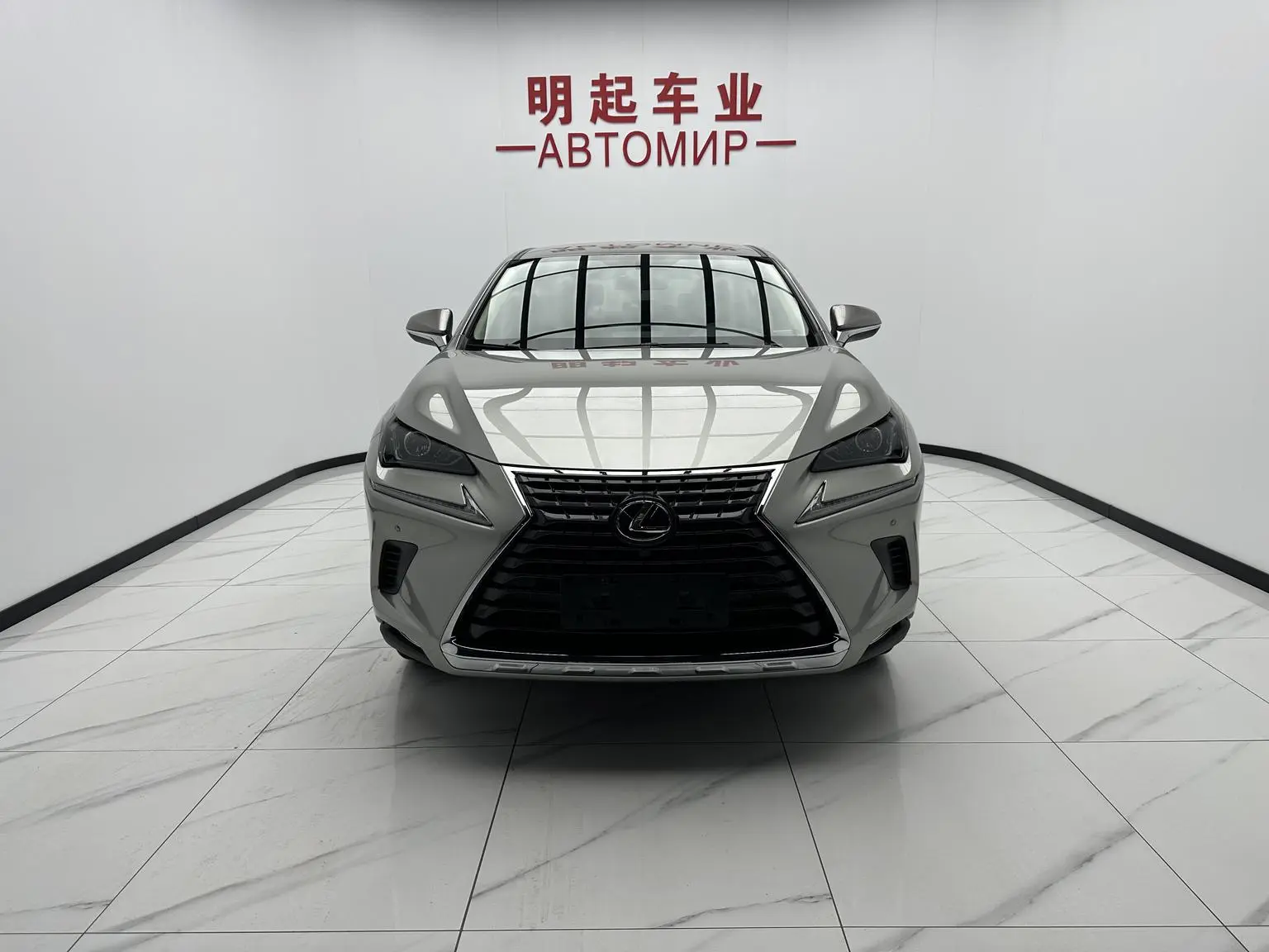Lexus NX 2020 200 FWD China V