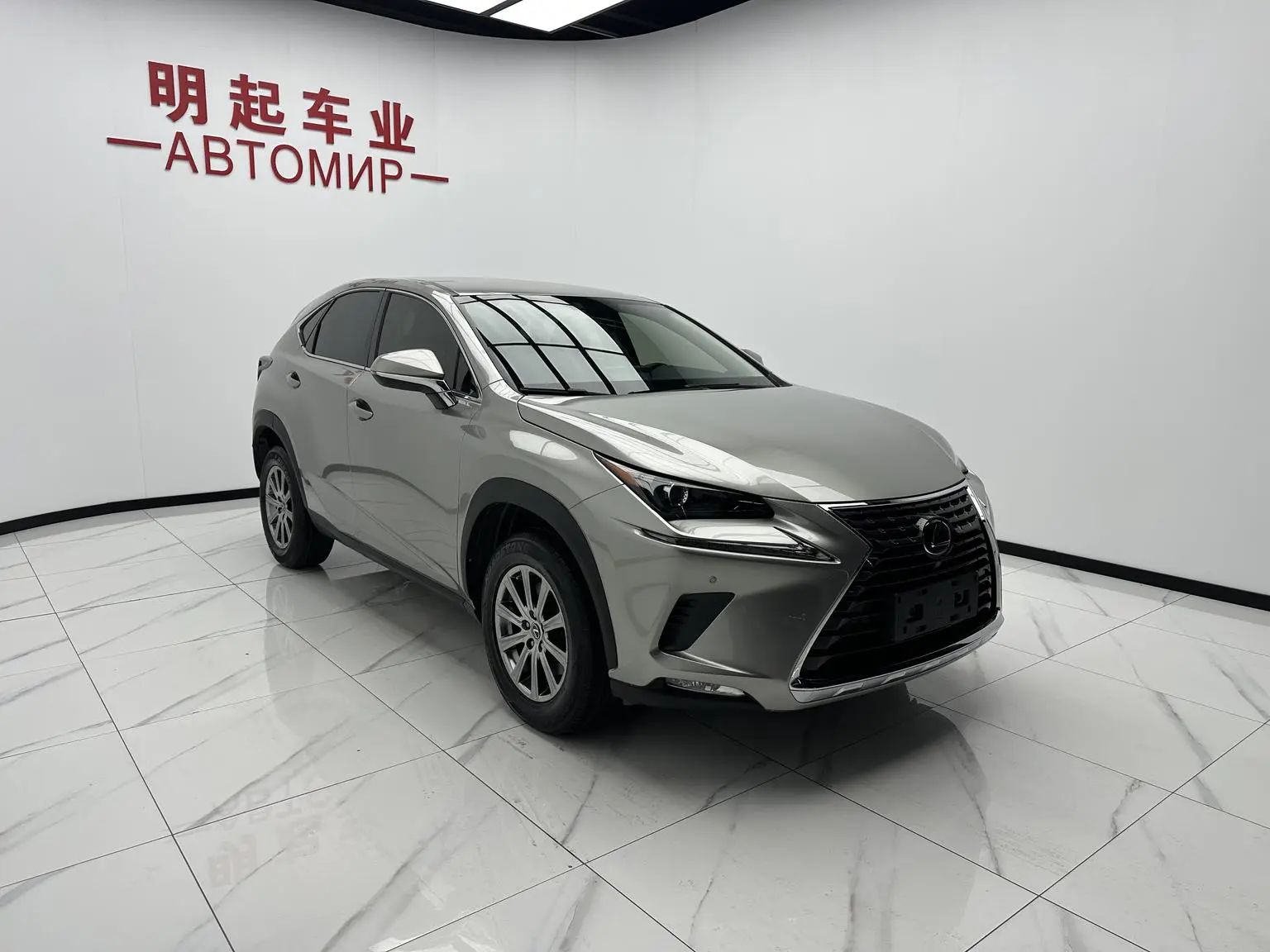 Lexus NX 2020 200 FWD China V