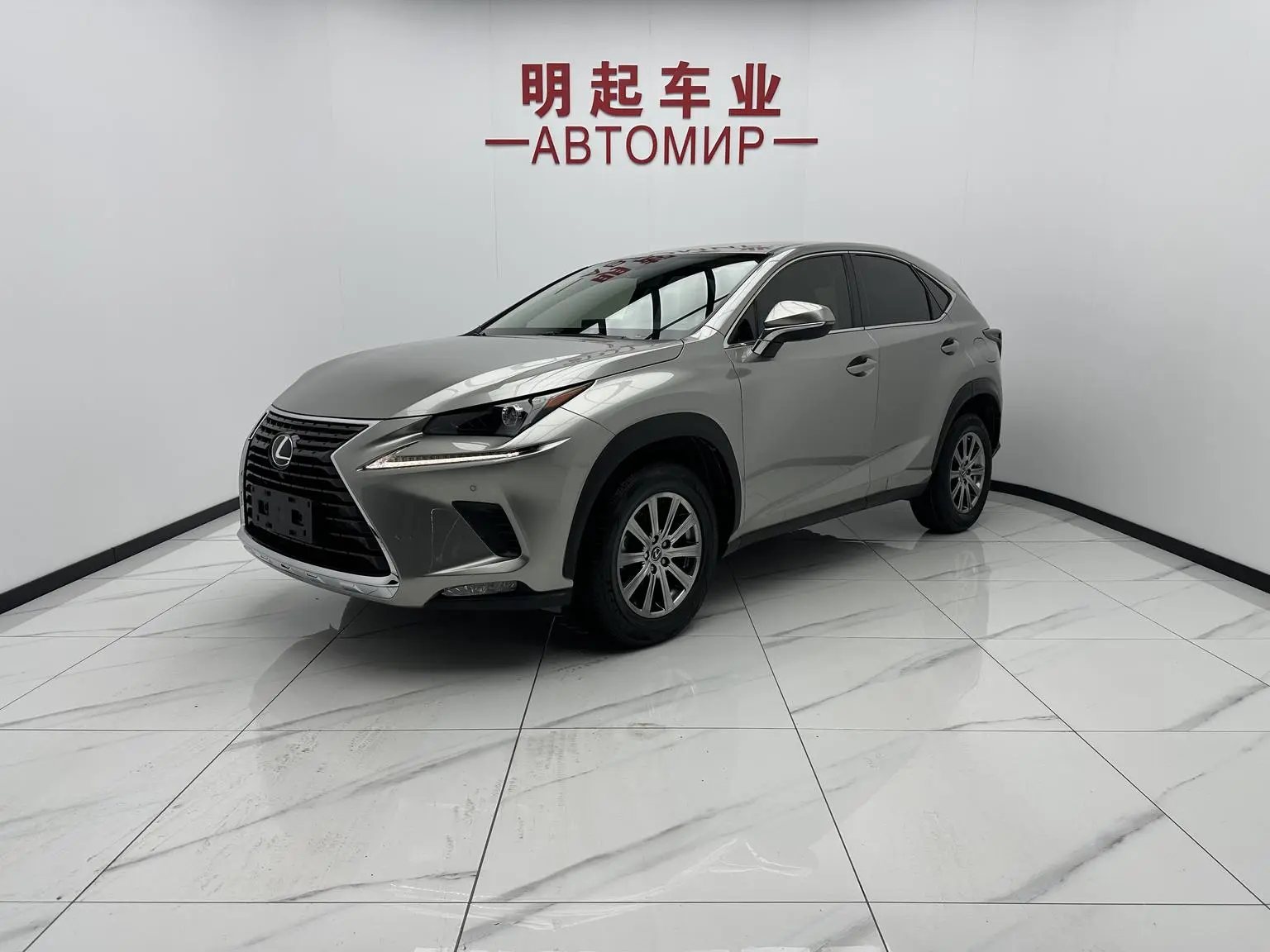 Lexus NX 2020 200 FWD China V