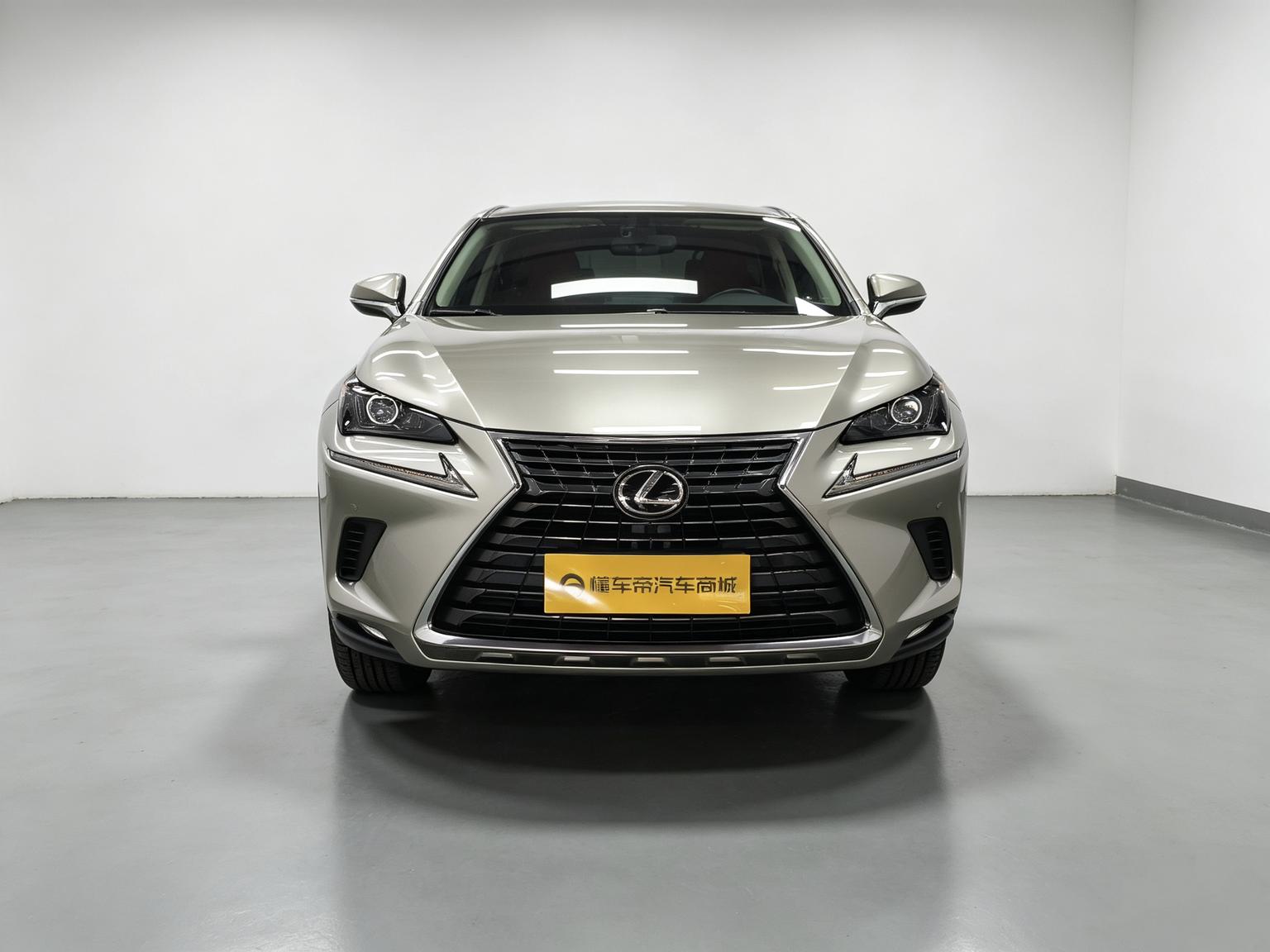 Lexus NX 2018 200 FWD China VI