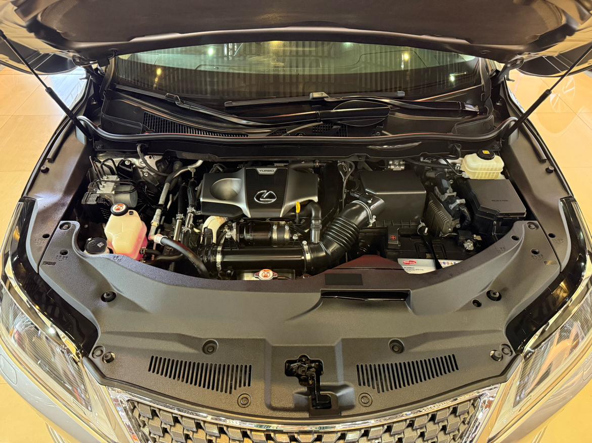 Lexus RX 2020 300 4WD Elegant China VI