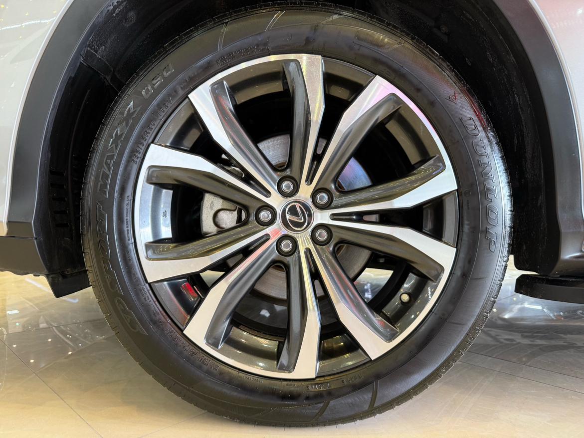 Lexus RX 2020 300 4WD Elegant China VI
