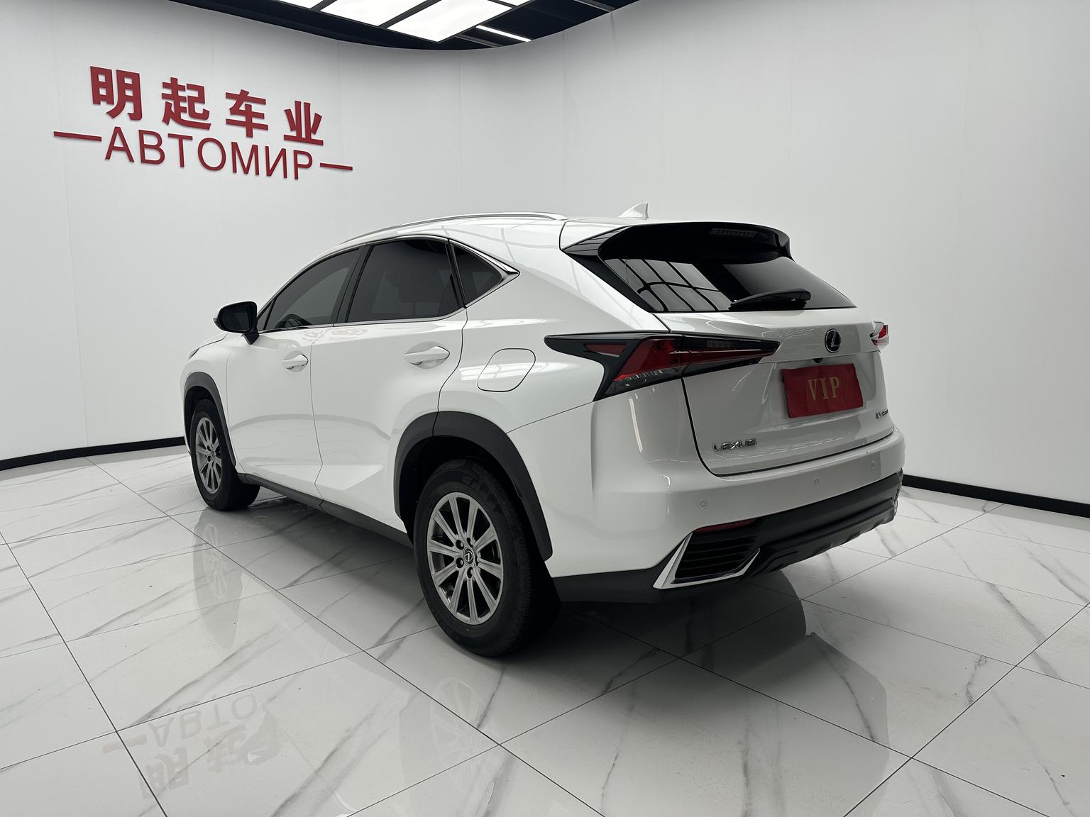 Lexus NX 2020 200 China VI