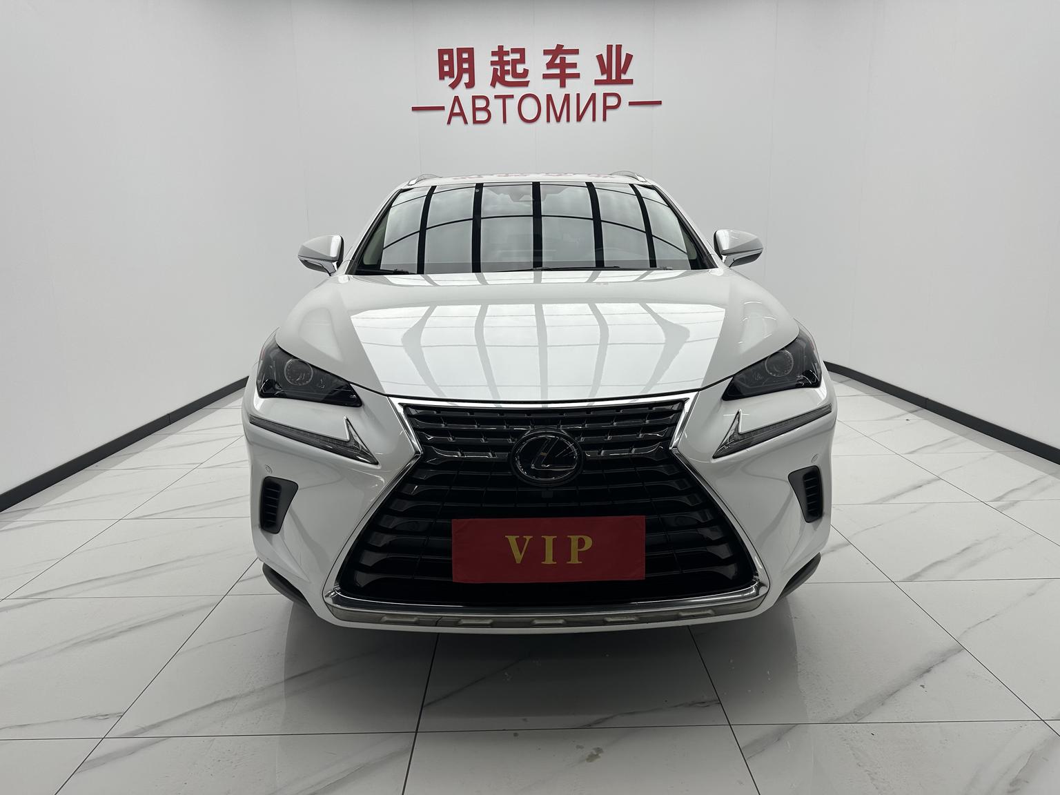 Lexus NX 2020 200 China VI