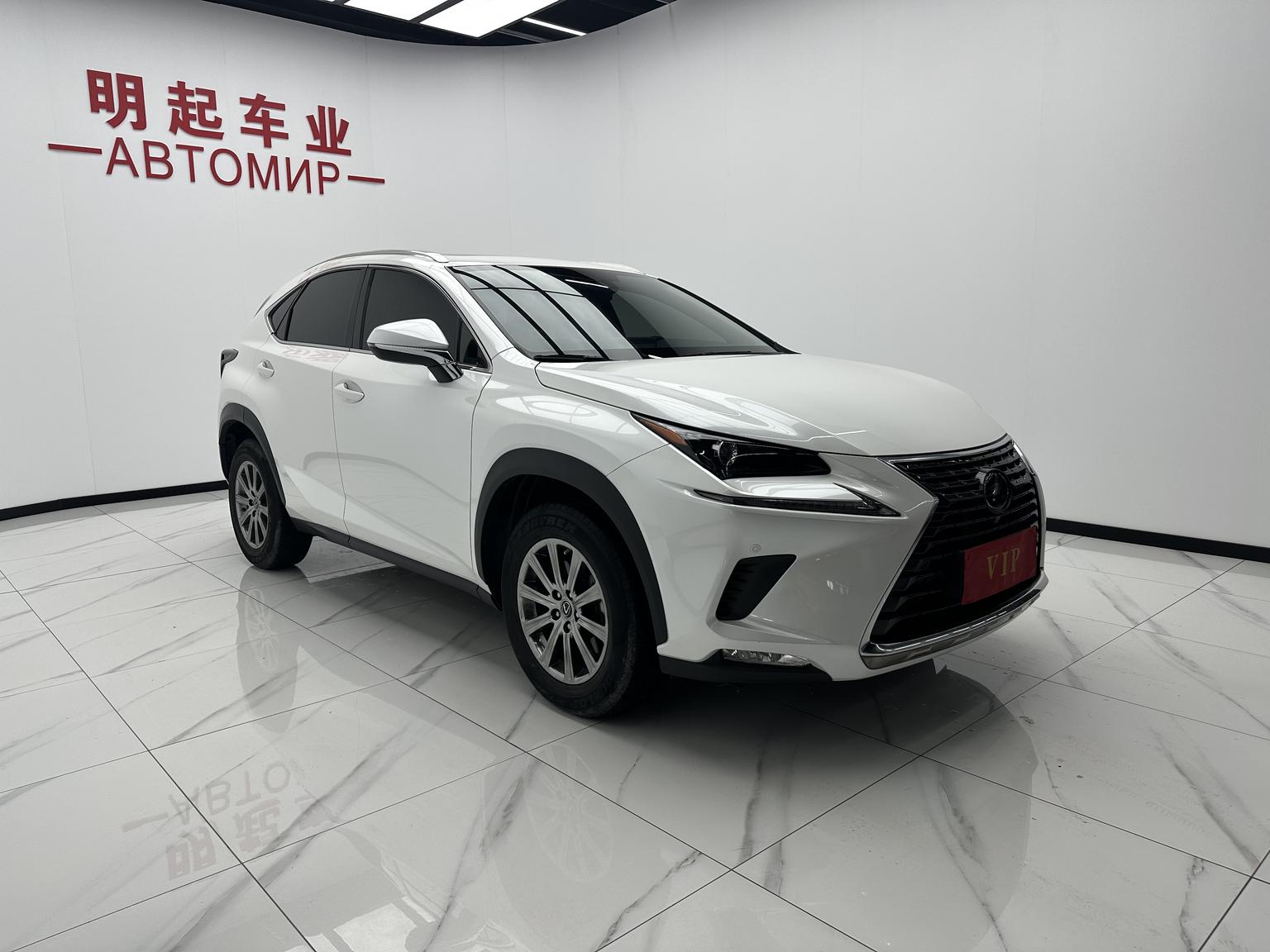 Lexus NX 2020 200 China VI