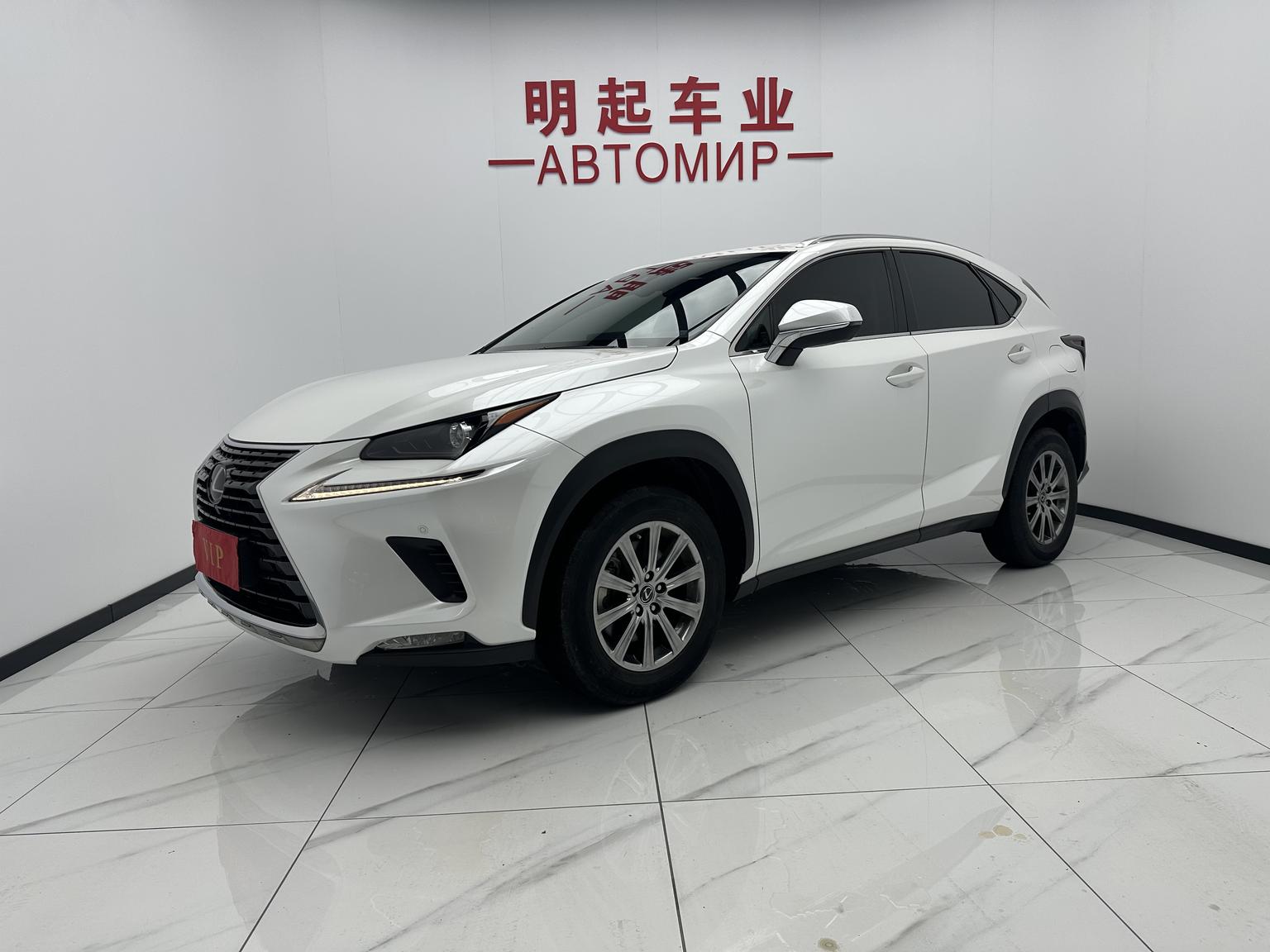 Lexus NX 2020 200 China VI